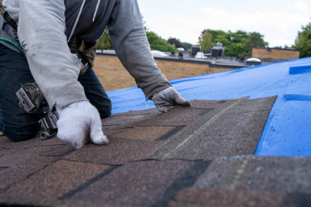 Best Emergency Roof Repair  in Overlea, MD